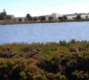 Salinen der Algarve