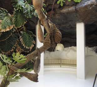 Impression der Fundacion