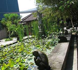 В зоопарке Бали