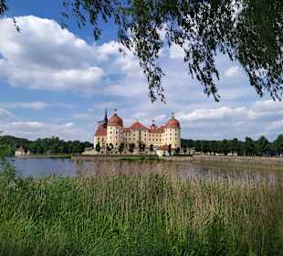 Schloss Moritzburg 
