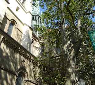 Stop an der Kathedrale St.Peter