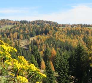 Herbststimmung neben der Hütte
