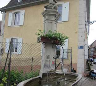 Vor dem Park Museum Folie Marco