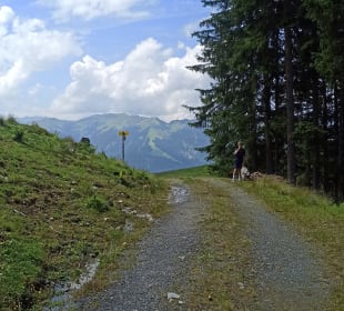 Sport & Freizeit