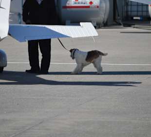 Hunde auch willkommen