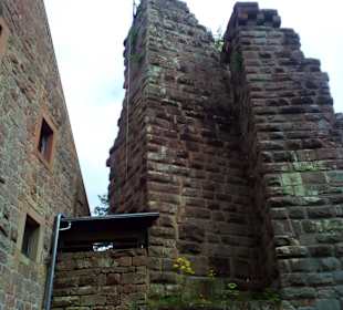 Burg Wilenstein in Trippstadt
