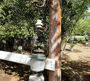 Impressionen vom Rundgang durch den Kräutergarten