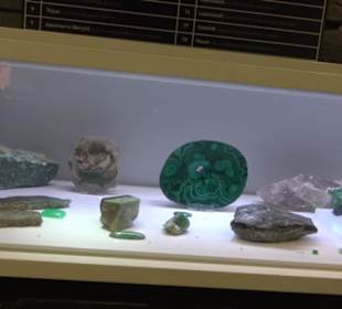 Museum Natur und Mensch