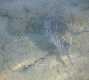 Фото с пирса