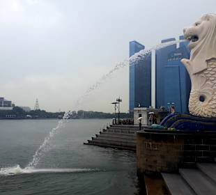 Merlion MBS