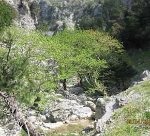 Der Wanderweg (hier links) zieht immer weiter