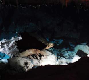 In de grot