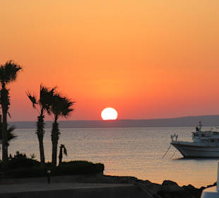 Best of Red Sea Safari 2014