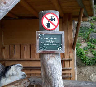 Südamerikabereich - Alpakahaus