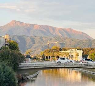 Viareggio 