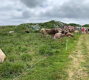 Wandern Brenzone