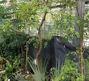 Botanischer Garten