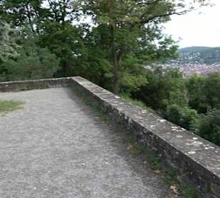 Aussichtspunkt Hasenberganlage