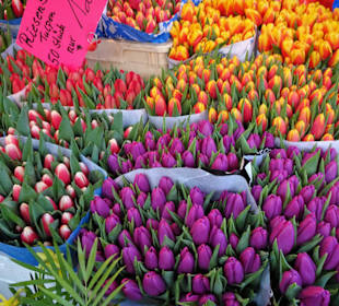 Rundgang über den Wochenmarkt am Goldbekufer