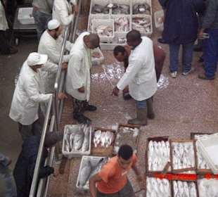 Agadir / hafen / port