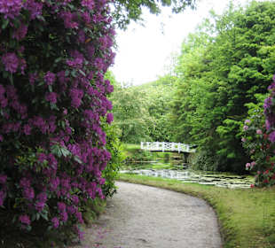 Schlosspark Lütetsburg
