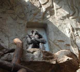 Zoo Warszawa