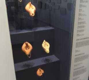 Rheinisches Landesmuseum