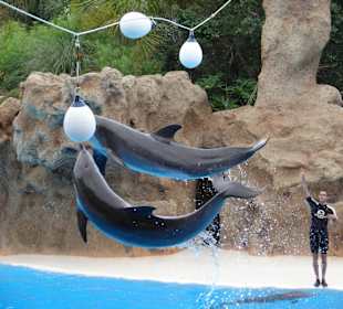 Beachtliche Sprünge