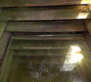 Phäno-Pfad Aichstetten