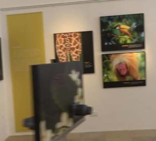 Museum für Ur- und Frühgeschichte