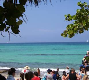 Ausflug nach Isla Saona