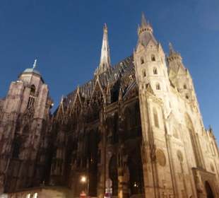 Der Stephansdom am Abend