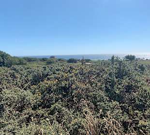 Wandern O Grove