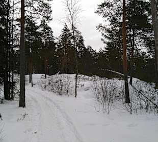 Spaziergang um den Teich