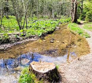 Aurachbach mündet in den See