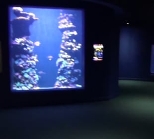 Palma Aquarium