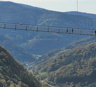 Wandern Titisee-Neustadt
