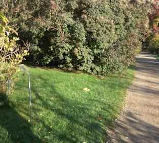Botanischer Garten