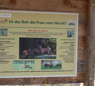 Rotwilderlebnispfad