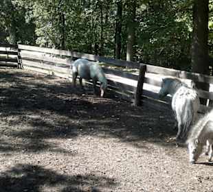 Zoo Brno