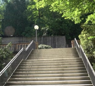 Gartenanlage Hortus Palatinus