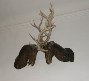 В замке Морицбург