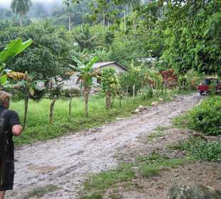 Auf dem Weg in den Dschungel