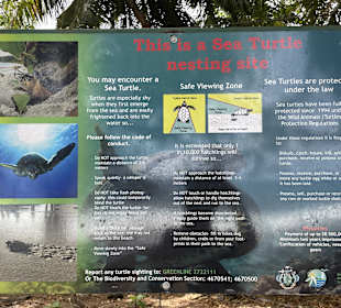 Brutgebiet für Schildkröten