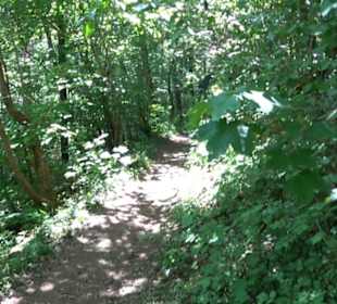 Wanderweg Sieben-Täler-Runde 