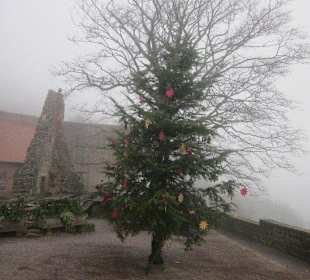 Burg Landeck