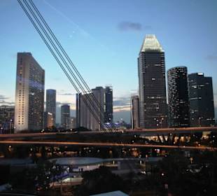 Singapore Flyer