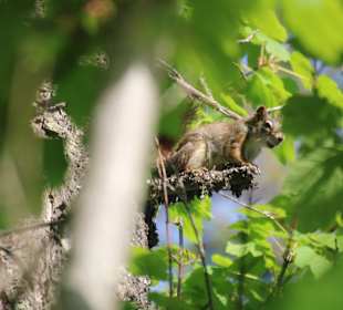 ....heimlich aufgenommen! 