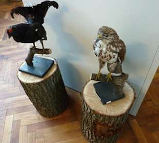 Národní zemědělské muzeum