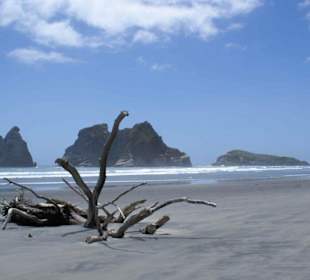 Wharariki Beach